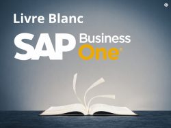 Livre blanc SAP Business One