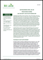 evolution SAP Business One