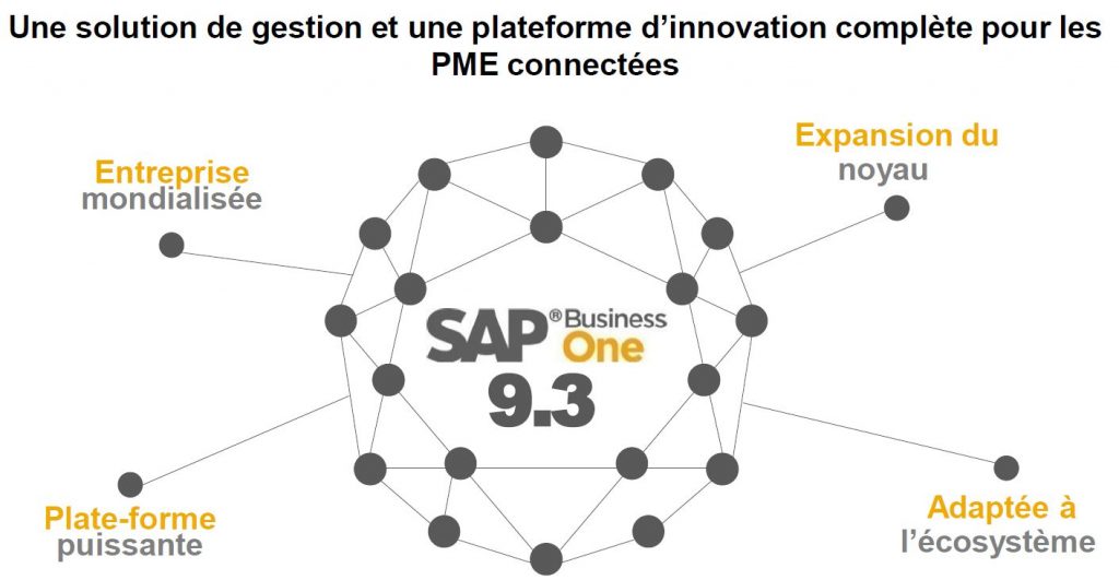 SAP Business One version 9.3