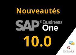 SAP Business One v10