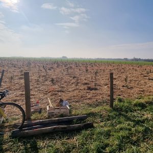Projet Foret Bleue