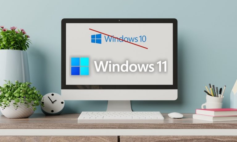 Windows 11