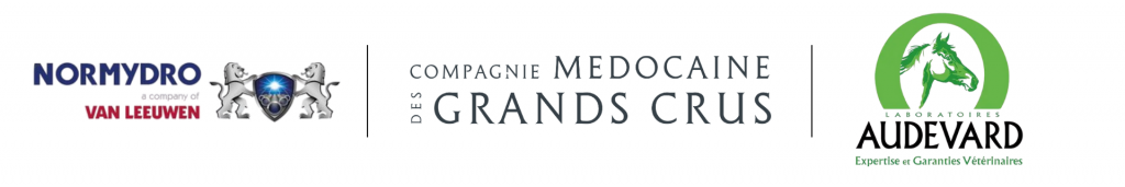 Clients facturation électronique