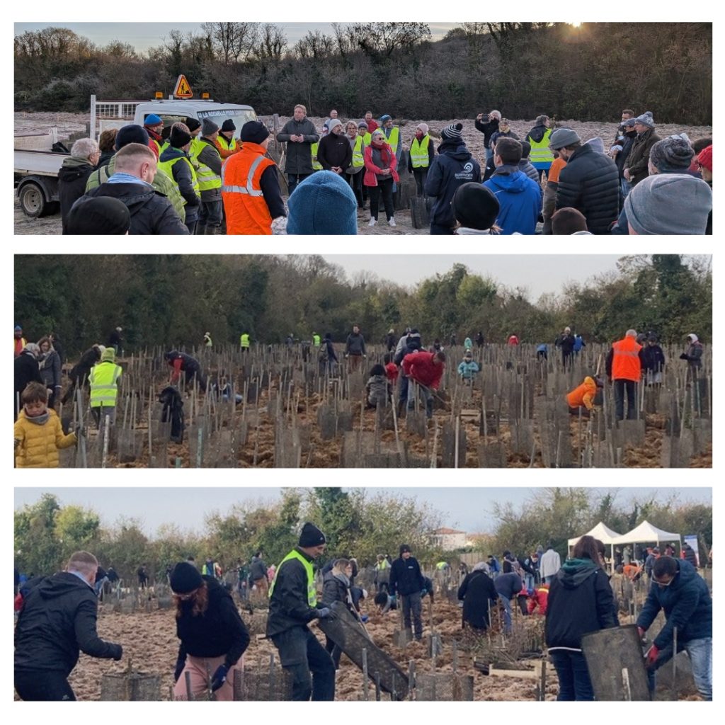 Projet Foret Bleue - Dompierre